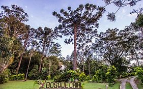 Bosque Oriri